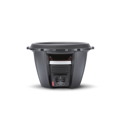 Rockford Fosgate Power T1 2-Ohm DVC Subwoofer - T1D212