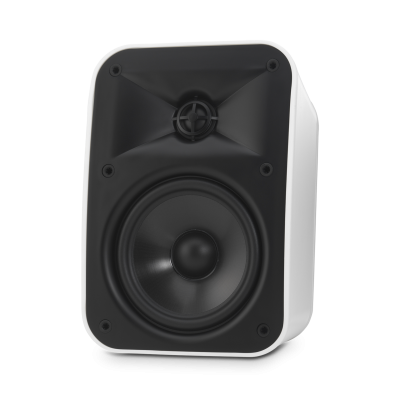 JBL Control X  Indoor , Outdoor Speakers in Black - CONTROLXBLKAM