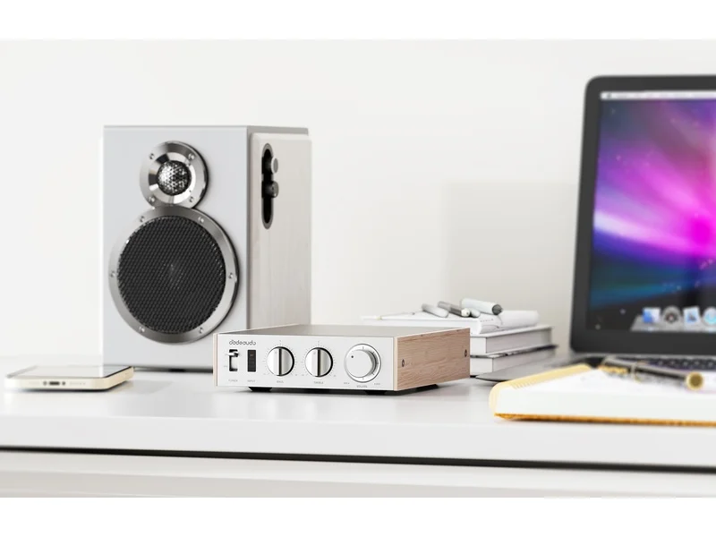 FiiO High-Resolution Audio Power Amplifier - LEVEL 1 (B)