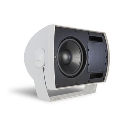 Klipsch Outdoor Subwoofer - CA800TSB