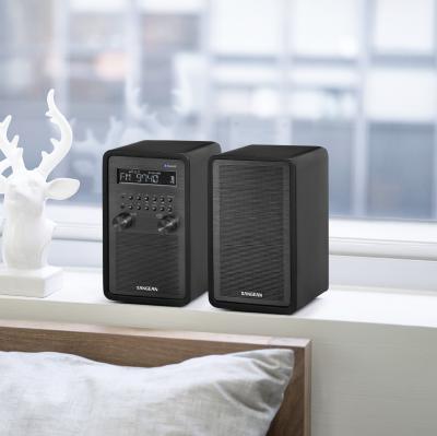 Sangean AM / FM / Bluetooth Wooden Cabinet Radio in Matte Black Plus Speaker - 14-WR50P