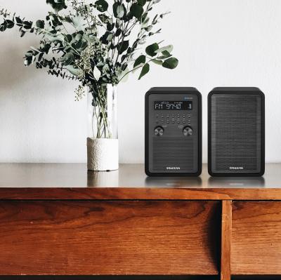 Sangean AM / FM / Bluetooth Wooden Cabinet Radio in Matte Black Plus Speaker - 14-WR50P