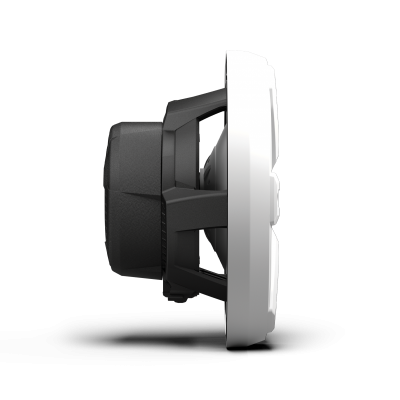 Rockford Fosgate M2 10" DVC 2Ω Color Optix Infinite Baffle Marine Subwoofer: Black Gen-2 - M2D2-10IB-G2