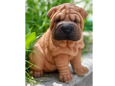 Hi-Line Gift Pet Pals Shar Pei Puppy - 87771-N