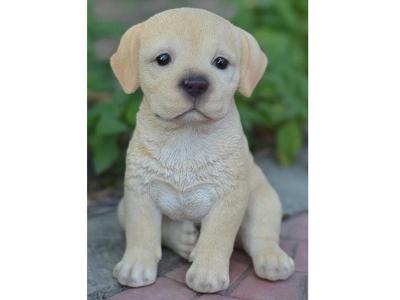Hi-Line Gift Pet Pals Labrador Yellow Puppy - 87771-Q
