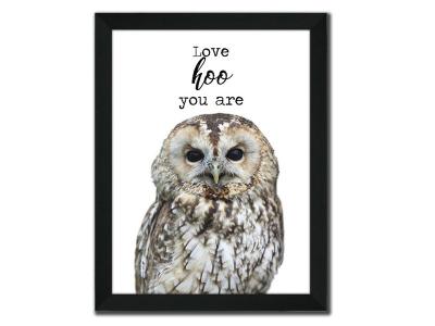 Owl Wall Art - BJYG840