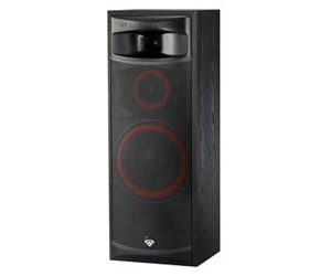 Floor Standing Speakers